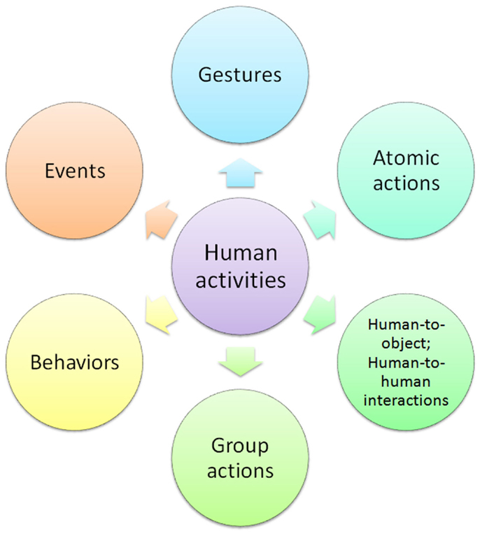 On the Importance of Human Activity Systems in Organization Modeling for IS Development